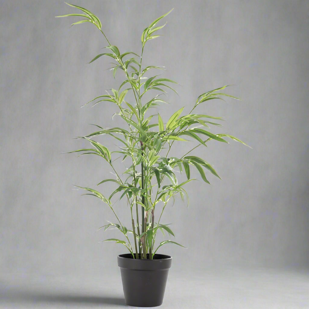 Imitation Bamboo In Pot - YF21126 - Uneeka